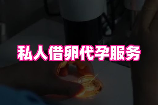 合肥助孕网站 4